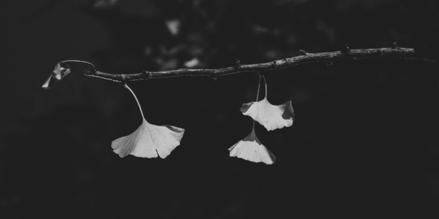 about-img